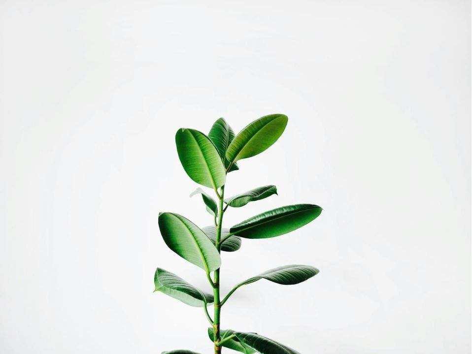 Social mockup 1